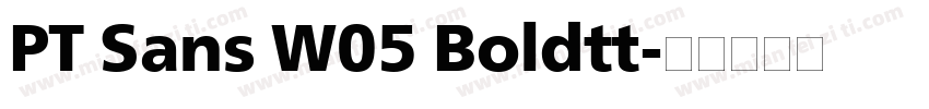 PT Sans W05 Boldtt字体转换